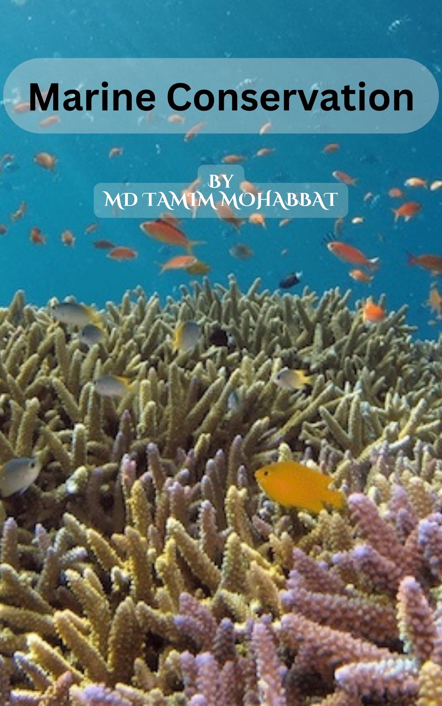 A Comprehensive Guide to Marine Conservation
